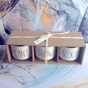 COPY - Rae dunn mini planter set of 3